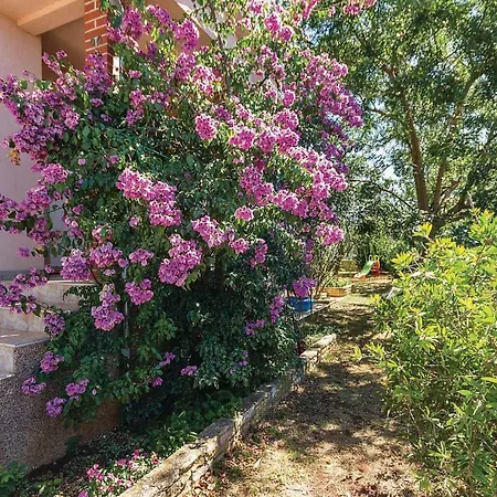 Three-bedroom Holiday In Holiday home Pula